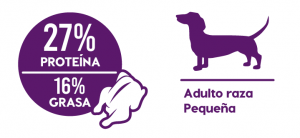 Small Breed Adult Dog
